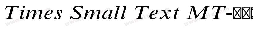 Times Small Text MT字体转换
